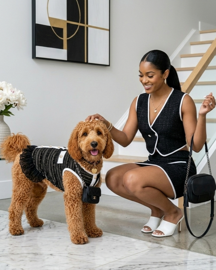 Classic Style Pet Skirt Small Dog Summer Clothes
