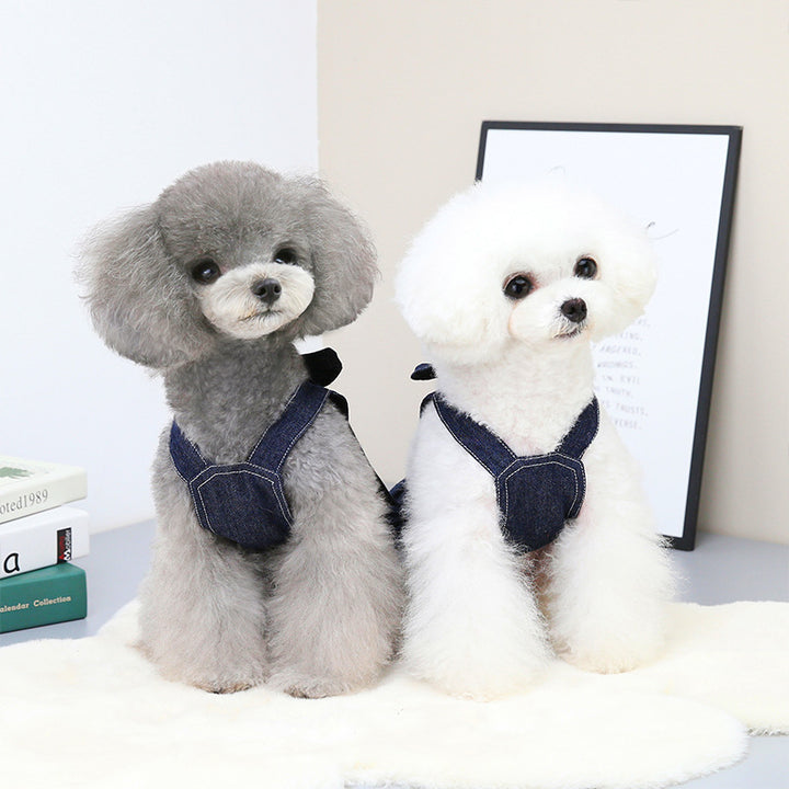 Spring And Summer Pet Clothes Big Bow Tie